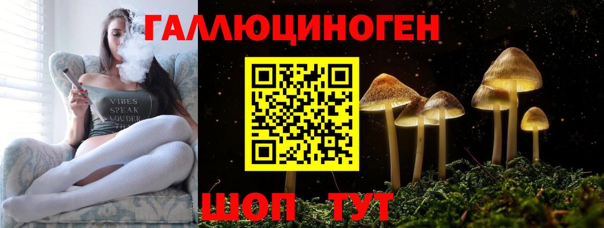 Псилоцибиновые грибы мицелий  Вход с VPN  продажа наркотиков  Галлюциногенные грибы GOLDEN TEACHER  Новошахтинск 